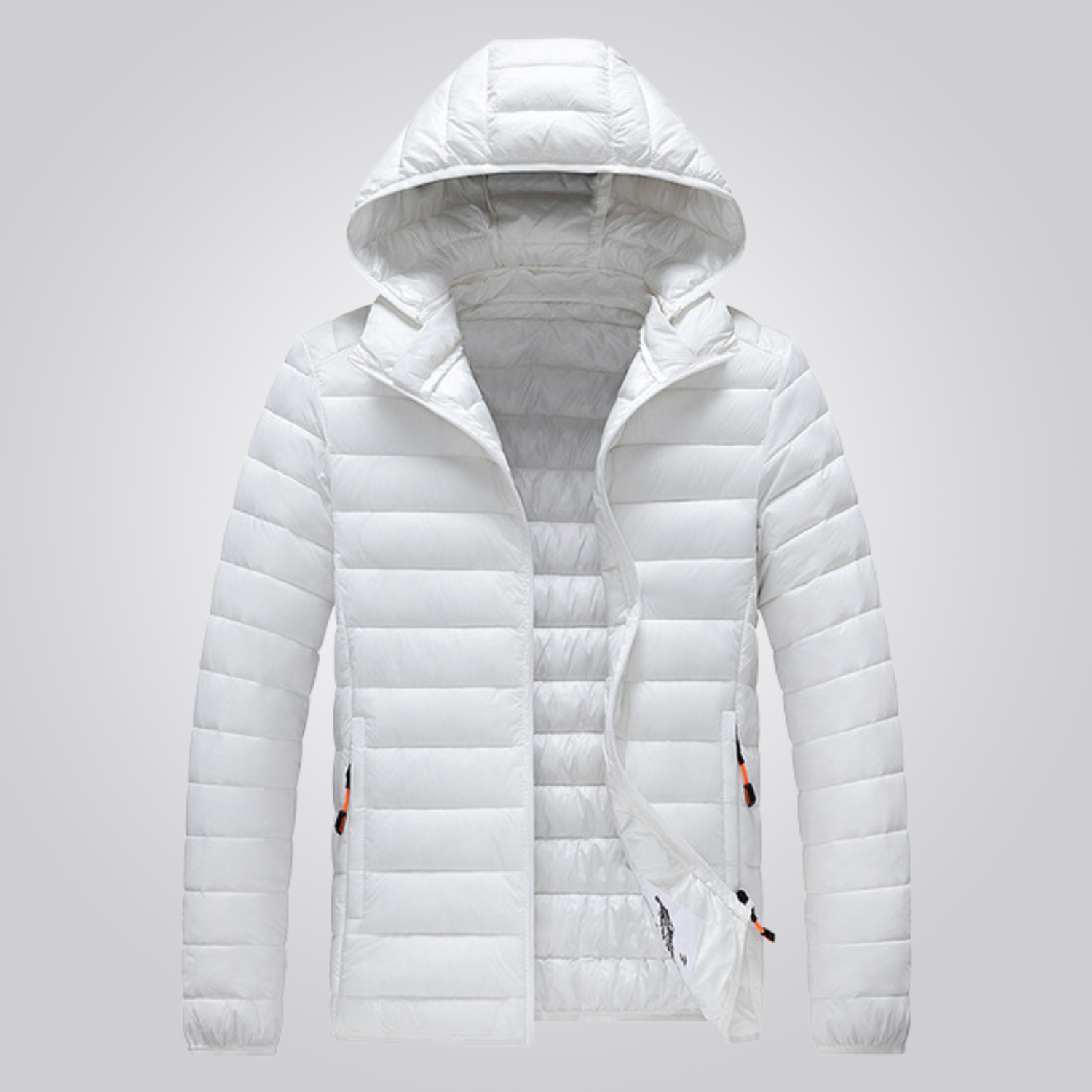 JAQUETA MASCULINA PUFFER FROST FALPINE
